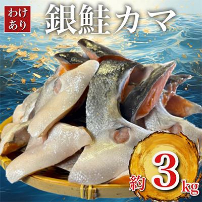 ふるさと納税 鮭 いすみ市 [訳あり]人気海鮮お礼品 銀鮭カマ 約3kg
