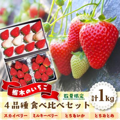 ふるさと納税 矢板市 [先行予約・数量限定]いちご王国ならでは!栃木のいちご4品種食べ比べセット 2027年1月〜発送開始