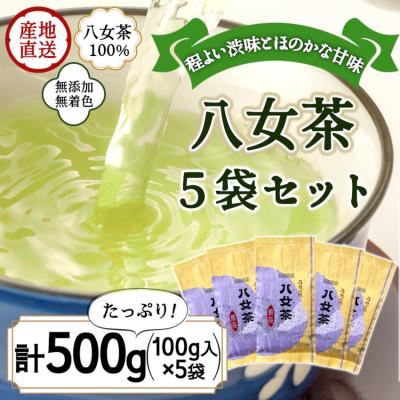 ふるさと納税 八女市 八女茶100% 煎茶 500g(100g×5袋)