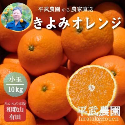 ふるさと納税 有田川町 きよみオレンジ 小玉10kg 和歌山県有田の町の平武農園から農家直送 蛍飛ぶ町から旬の便り