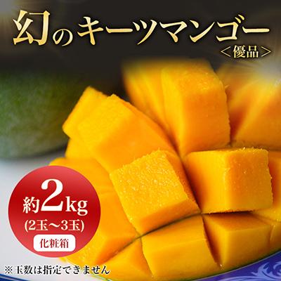 ふるさと納税 与那原町 [2026年8月から順次発送・贈答用]JAおきなわ厳選!幻のキーツマンゴー約2kg(2〜3玉)
