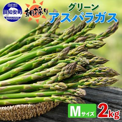 ふるさと納税 倶知安町 北海道 アスパラガス グリーン(Mサイズ)約2kg 旬 朝採り 新鮮 産地直送 倶知安町