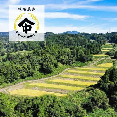 ふるさと納税 上越市 農家直送!新潟県産棚田のコシヒカリ「あさひかがやく」　白米2kg・ふぁ〜む中やしき｜y-sf｜02