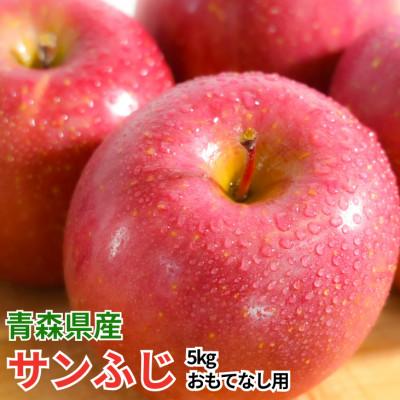 ふるさと納税 青森市 [27年4月より順次発送]平均糖度13度以上! サンふじ 約5kg おもてなし用 青森県産 クール便