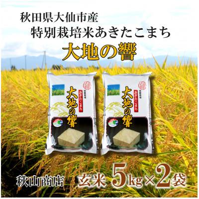 ふるさと納税 大仙市 令和5年産「特別栽培米 秋田県産あきたこまち 大地の響 玄米10kg(5kg×2)」