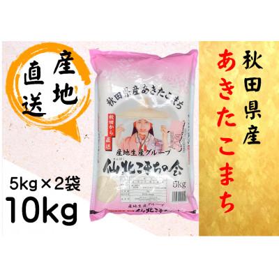 ふるさと納税 大仙市 [令和5年産]秋田県産あきたこまち 精米10kg(5kg×2袋)