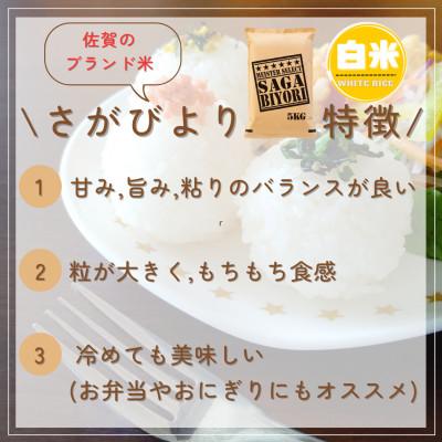 ふるさと納税 吉野ヶ里町 『さがびより白米5kg』五つ星お米マイスター厳選!(吉野ヶ里町)｜y-sf｜02