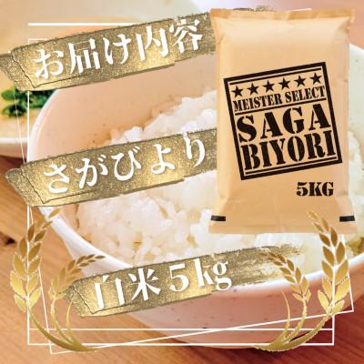 ふるさと納税 吉野ヶ里町 『さがびより白米5kg』五つ星お米マイスター厳選!(吉野ヶ里町)｜y-sf｜03