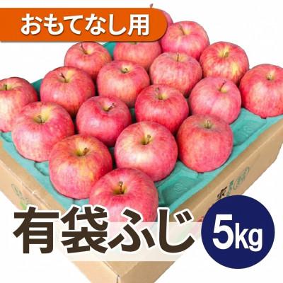 ふるさと納税 青森市 [27年4月から順次発送]平均糖度13度以上! 有袋ふじ 約5kg おもてなし用 CA貯蔵 クール便