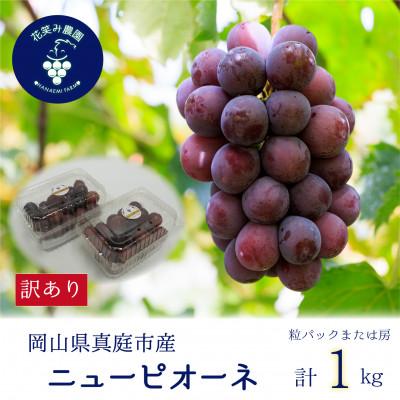 ふるさと納税 真庭市 [2026年先行受付]岡山 花笑み農園の 『訳ありニューピオーネ』1kg WP-1