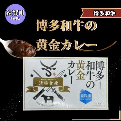 ふるさと納税 遠賀町 博多和牛 黄金カレー(冷凍)(遠賀町)