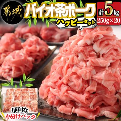 ふるさと納税 都城市 バイオ茶ポークハッピーセット5kg