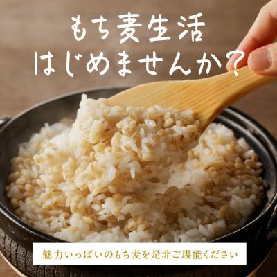 ふるさと納税 浜田市 もち麦セット 有機 500g×3袋セット(1.5kg)　有機JAS認証 国産 島根県産｜y-sf｜04