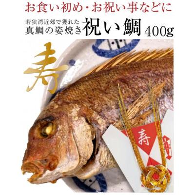 ふるさと納税 小浜市 御食國の若狭湾で釣り挙げられた天然の真鯛をふっくらと姿のまま焼き上げた祝い鯛