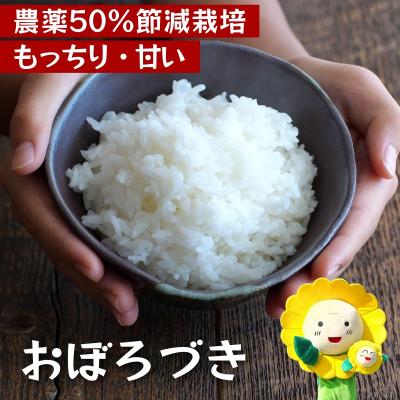 ふるさと納税 北竜町 [令和7年産]おぼろづき、ななつぼし 計4kg 50%農薬節減米 北海道北竜町産