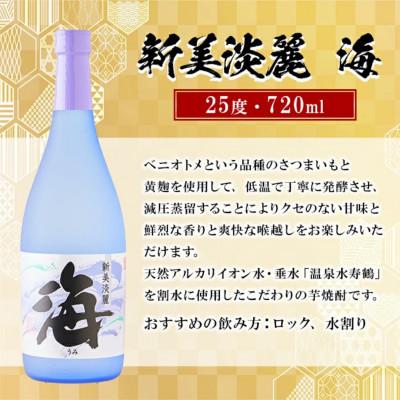ふるさと納税 垂水市 大海酒造 海 720ml×12本 F6-2515の画像