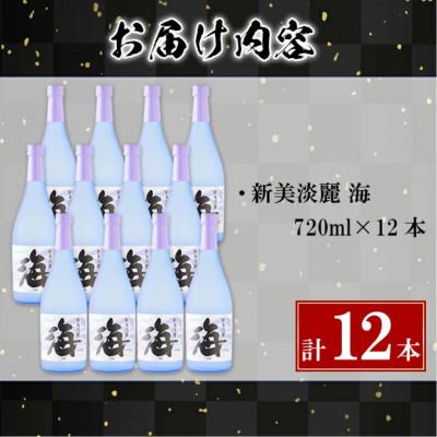 ふるさと納税 垂水市 大海酒造 海 720ml×12本 F6-2515の画像