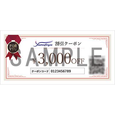 ふるさと納税 糸魚川市 クリーニング クーポン券 3000円