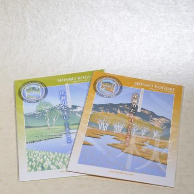 ふるさと納税 東松山市 版画家・小暮真望 レターセット2種類(秋・春)