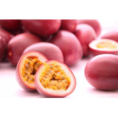 ふるさと納税 龍郷町 [先行受付]奄美大島産 それいゆパッションフルーツ 2kg[2026年6月下旬より順次発送]