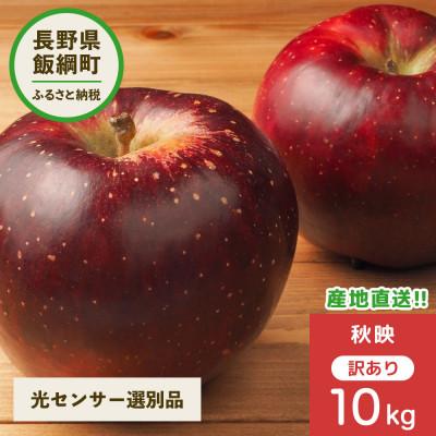 ふるさと納税 飯綱町 2026年10月以降出荷 訳あり りんご 秋映 10kg 光センサ選果 24〜50玉
