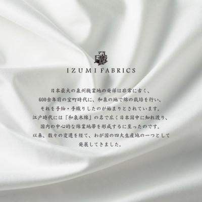 ふるさと納税 和泉市 【シングルサイズ】肌掛け羽毛布団 ポーランド産マザーグースダウン95% CILプラチナラベルの画像