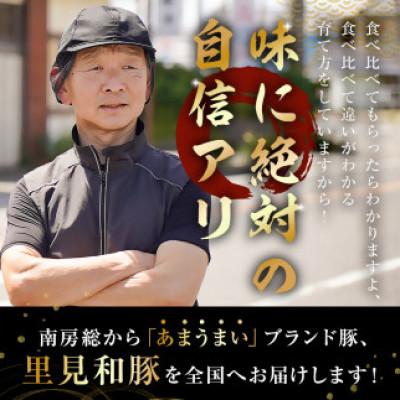 ふるさと納税 南房総市 里見和豚 個別包装 小間切れ 800g (100g×8) トレイ不使用　mi0017-0008｜y-sf｜03