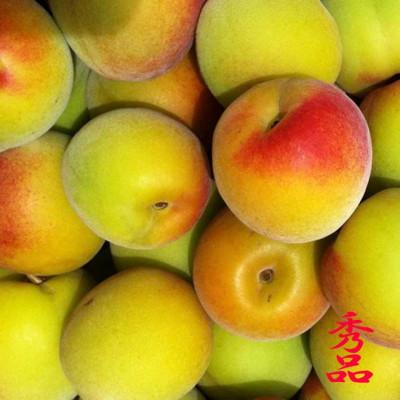 ふるさと納税 和歌山市 和歌山県産 紀州南高梅 完熟梅 秀品 5kg(3L以上