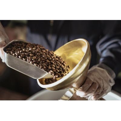 ふるさと納税 守口市 ゴールド珈琲のブレンドコーヒー2kg(豆)