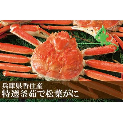 ふるさと納税 香美町 松葉がに 釜茹で 特選 冷凍 兵庫県香住産 約800〜900g×1匹[2024年11月中旬以降発送]