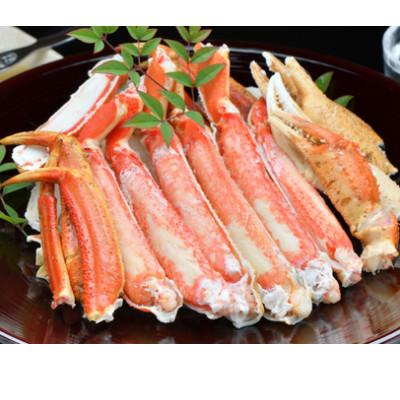 ふるさと納税 香美町 松葉がに 釜茹で 特選 冷凍 兵庫県香住産 約800〜900g×1匹【2026年11月中旬以降発送】_1