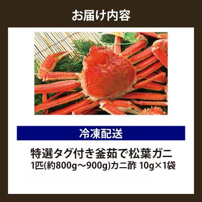 ふるさと納税 香美町 松葉がに 釜茹で 特選 冷凍 兵庫県香住産 約800〜900g×1匹【2026年11月中旬以降発送】_3
