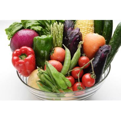 ふるさと納税 三郷市 季節の野菜セット 10〜13種類の野菜をお届けいたします。