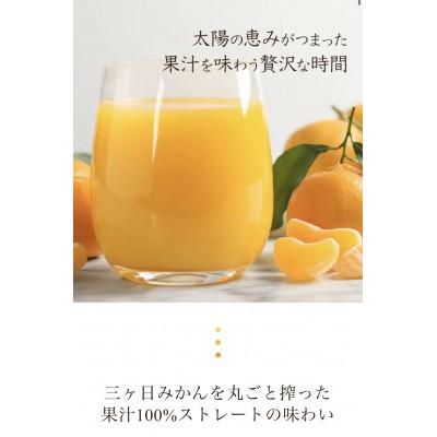 ふるさと納税 浜松市 和田農園の三ヶ日みかんを丸ごと搾ったみかんジュース 3種詰め合わせ10本入り