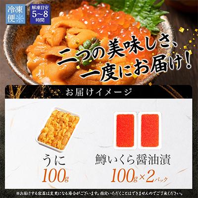 ふるさと納税 弟子屈町 雲丹 100g 鱒いくら 100g×2個 うに チリ産 ます いくら 北海道 弟子屈町 3619_3