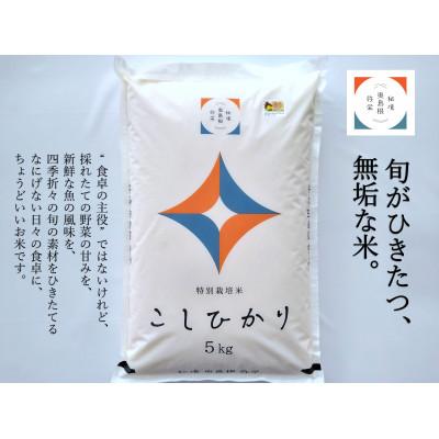 ふるさと納税 浜田市 浜田市弥栄町産 特別栽培米「秘境奥島根弥栄」こしひかり 5kg