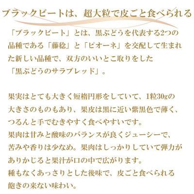 安い新作 ふるさと納税 岡山市 岡山県産　ブラックビート　500g×2房