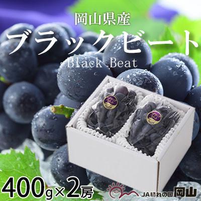 ふるさと納税 浅口市 岡山県産 ブラックビート 400g×2房