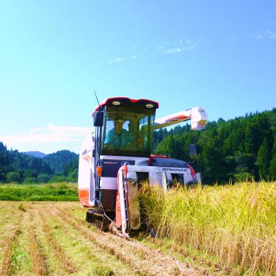 新之助 5kg×2 日本産米 2024年収穫