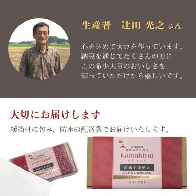 ふるさと納税 嘉麻市 えごまタレ付 希少青大豆「嘉麻ひすい大豆」の高級納豆6P入(クラフト箱)の画像