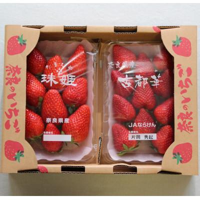 ふるさと納税 河合町 奈良 かたおかのいちご「古都華(ことか)」・「殊姫(たまひめ)」計2パック 食べくらべセット