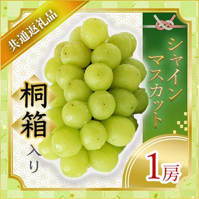 ふるさと納税 城里町 [2024年7月より順次発送予定]シャインマスカット桐箱入り1房(県内共通返礼品:かすみがうら市産)