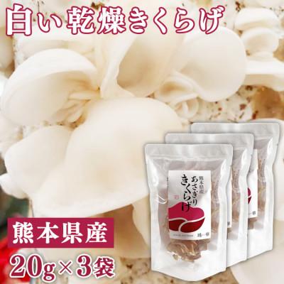 ふるさと納税 あさぎり町 熊本県産 白い乾燥きくらげ20g×3袋
