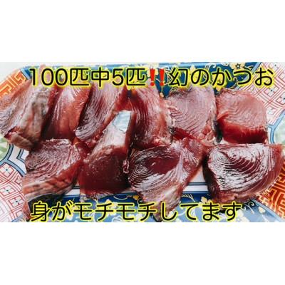 【〜6/6まで出品】 ふるさと納税 南国市 釣れたてのカツオ発送します。ビリ鰹わら焼きタタキ・刺身 各400g×2節(醤油・ニンニク・タレ付き) 【MYK1173750705】(42780円)