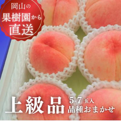 ふるさと納税 真庭市 旬採り桃(品種おまかせ) 上級品/5-7玉 (岡山県産) 珍しい品種の桃をモモ好きのあなたに!