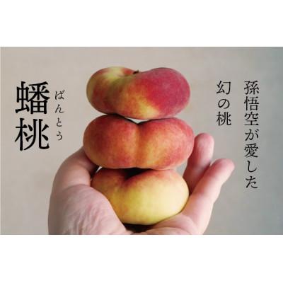 ふるさと納税 真庭市 幻の桃、希少品種の「蟠桃(ばんとう)」の