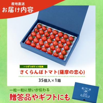 ふるさと納税 指宿市 さくらんぼトマト 薩摩の恋心 35個入 IB077-001
