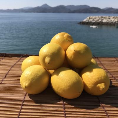 ふるさと納税 上島町 青いレモンの島 レモン約1kg[お試しセット](冷蔵便発送)