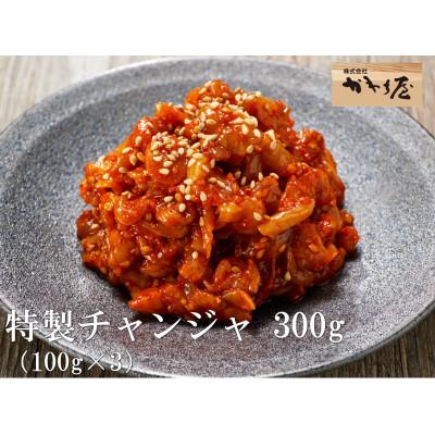ふるさと納税 松原市 かわち屋 特製チャンジャ300g 100g×3袋 小分け 自家製ヤンニョンジャン 大阪府松原市