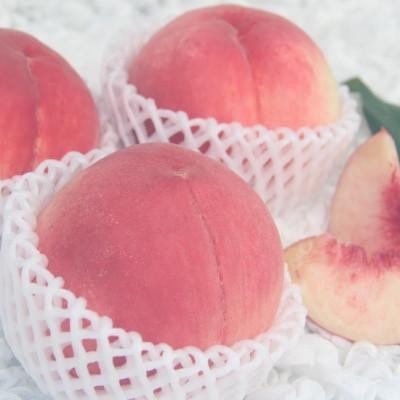 ふるさと納税 南アルプス市 厳選!南アルプス市産 朝採り桃 約3kg(7玉〜12玉)の画像